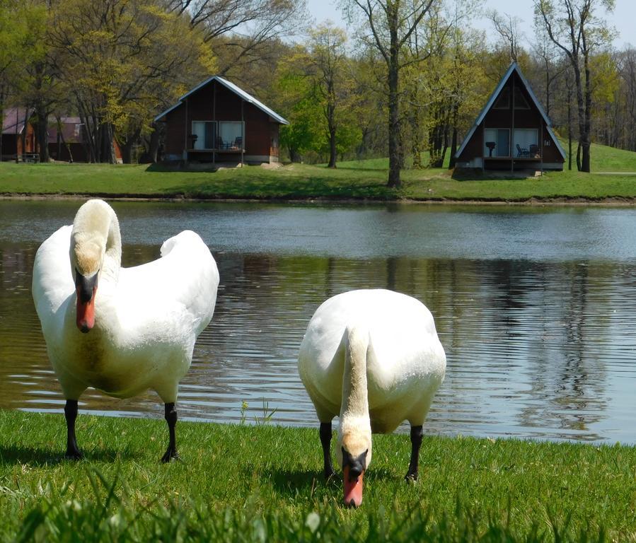 Serenity Springs - Michigan City Hotel Springfield Esterno foto