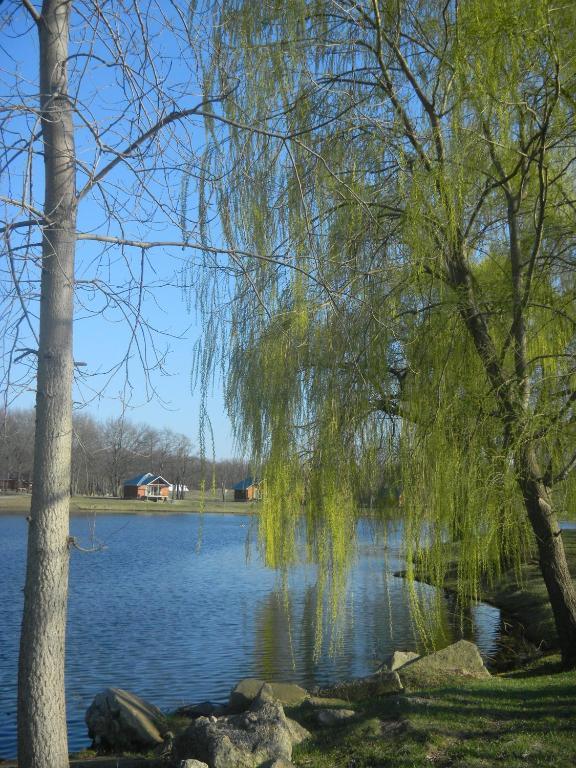 Serenity Springs - Michigan City Hotel Springfield Esterno foto