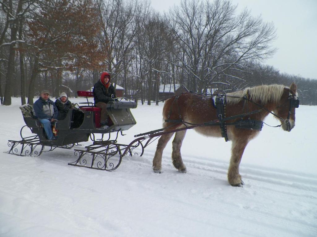 Serenity Springs - Michigan City Hotel Springfield Esterno foto