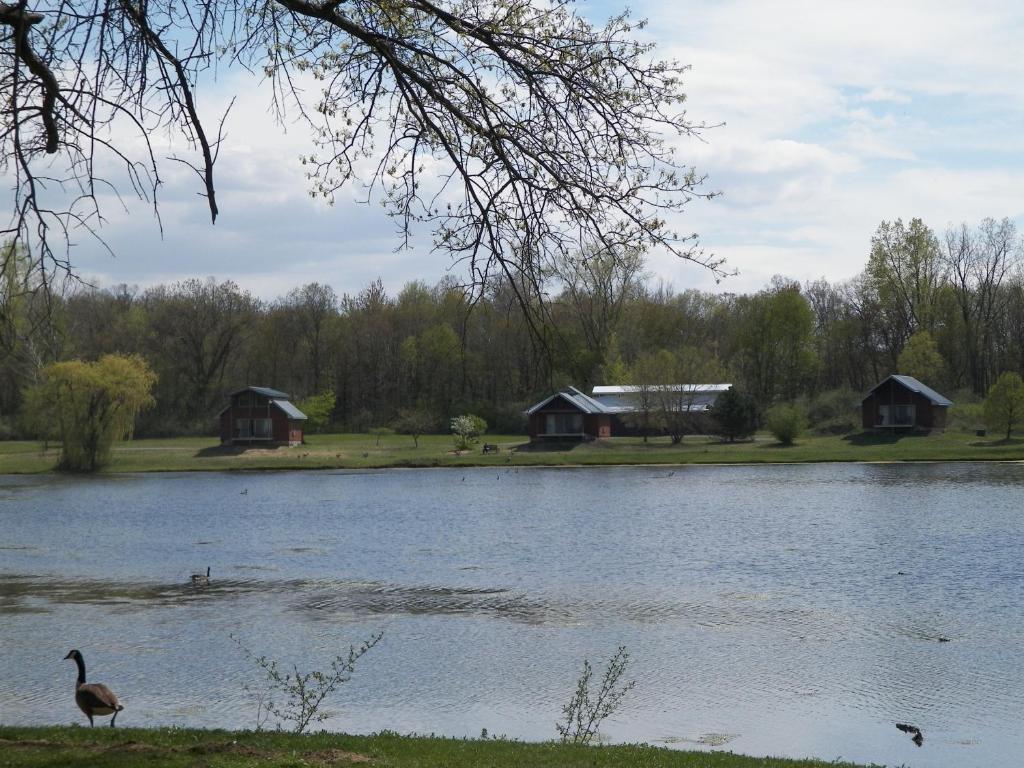 Serenity Springs - Michigan City Hotel Springfield Esterno foto
