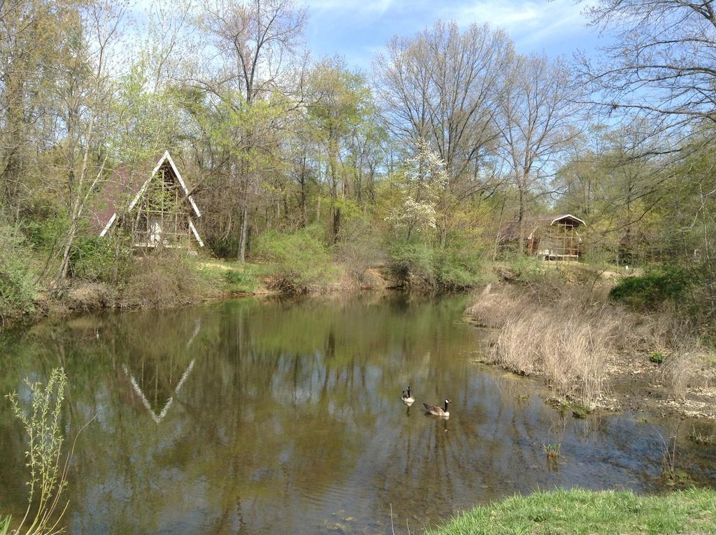 Serenity Springs - Michigan City Hotel Springfield Esterno foto